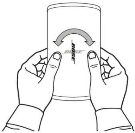 BOSE DesignMax DM2S - Adjusting the Logo - 1