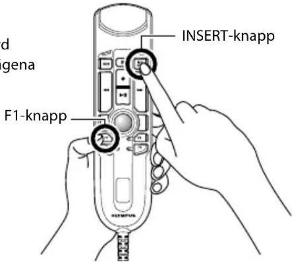 OLYMPUS RecMic RM4110S - Hur lagena andras - 1