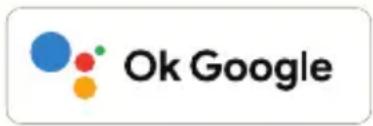 Ok Google
