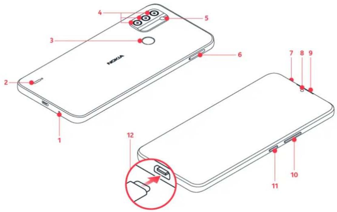 NOKIA C31 - Touches et composants - 1