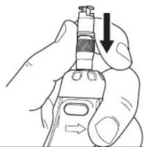 DREMEL PawControl 7760PGK - Durante el uso - 1