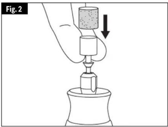 Fig. 2
