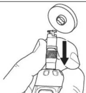 DREMEL PawControl 7760PGK - Escobillas de alambre - 3