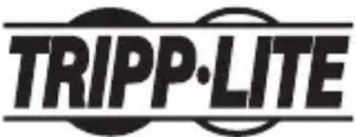 Tripp Lite U3571M2NVMEG2 - Información de Cumplimiento con WEEE para Clientes y Recicladores de Tripp Lite (Unión Europea) - 2