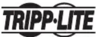 Tripp Lite U4571M2NVMEG2 - Renseignements sur la conformité à la directive DEEE pour les clients de tripp lite et les recycleurs (union européenne) - 1