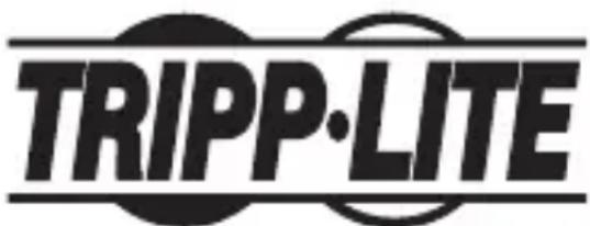 Tripp Lite T100001TST - Información de Cumplimiento con WEEE para Clientes y Recicladores de Tripp Lite (Unión Europea) - 2