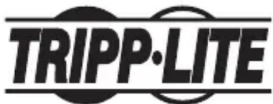 Tripp Lite T100001TST - WEEE Compliance Information for Tripp Lite Customers and Recyclers (European Union) - 2