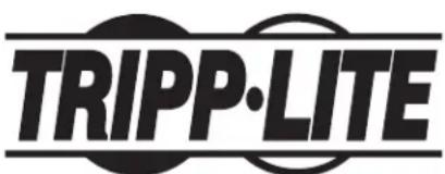 Tripp Lite SNMPWEBSOLOHV - 1
