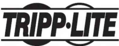 Tripp Lite SNMPWEBSOLOHV - Console web 3 - 1