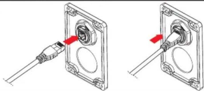 Tripp Lite N200P023BLIND - Помышления установka Наружных сешипеловых муфТ - 4