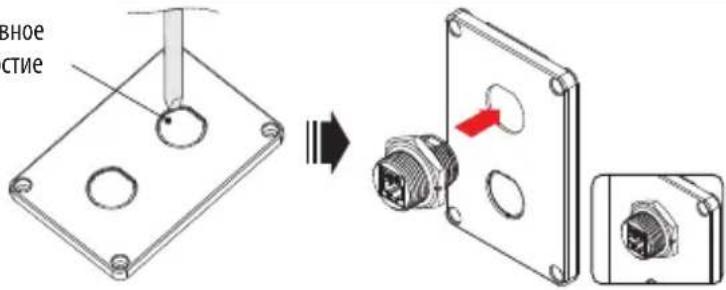 Tripp Lite N200P003BLIND - 1 - 1