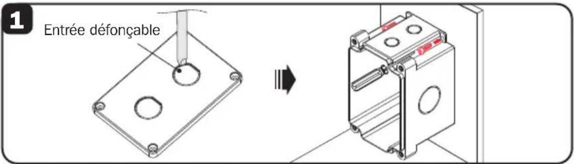 Tripp Lite N200P003BLIND - Installation de la prise Keystone de qualité industrielle (N206-KJ01-IND) - 1