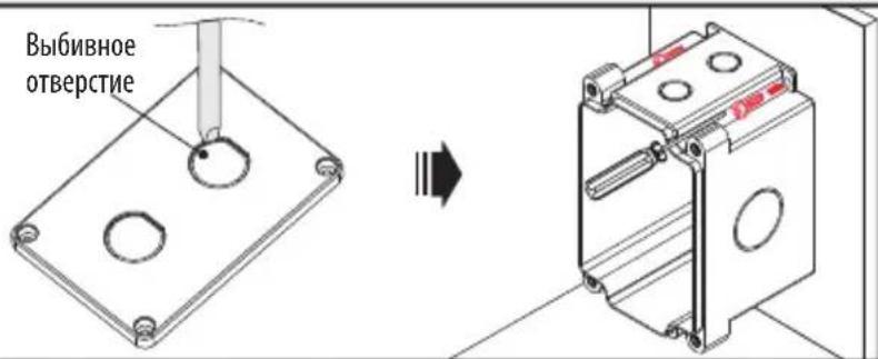 Tripp Lite N200P003BLIND - 1 - 1