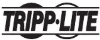 Tripp Lite P936000 - L'information de conformité WEEE pour les clients de tripp lite et recycleurs (union européenne) - 1