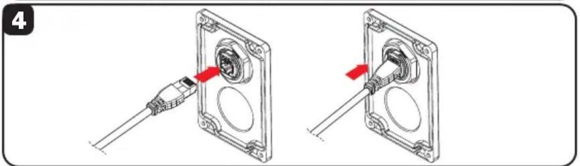 Tripp Lite N200P033BLIND - Installation du coupleur de cloison de qualité industrielle (N206-BC01-IND, U325-000-IND, P569-000-FF-IND et N455-BC01-IND) - 3