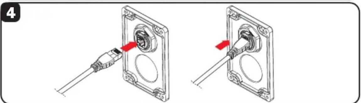 Tripp Lite N200P010BLIND - Installation du coupleur de cloison de qualite industrielle (N206-BC01-IND, U325-000-IND, P569-000-FF-IND et N455-BC01-IND) - 4