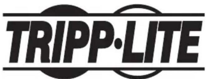 Tripp Lite N200P010BLIND - Renseignements sur la conformité à la directive DEEE pour les clients de Tripp Lite et les recycleurs (Union europeenne) - 2