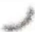 SILVERLINE 580420 - Disposal - 2
