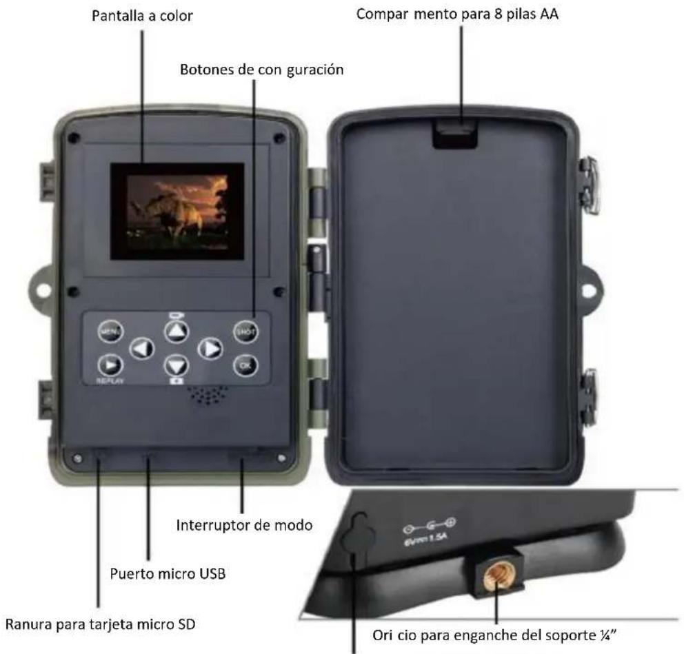 BRAUN Scouting Cam Black550 - Estructura - 3
