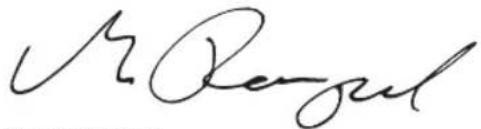 DEWALT DCG406 - Amoladora angularquiresina sin cable DCG406 - 1