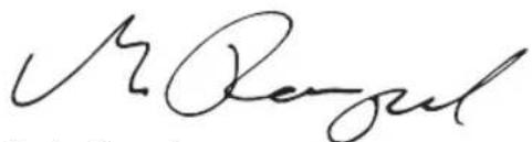 DEWALT DCG406 - Smerigliatrice angolare piccola senza filo DCG406 - 1