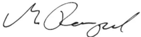 DEWALT DCG406 - MIKPOs TONIAKO TPOXOS MNTAPIA DCG406 - 1