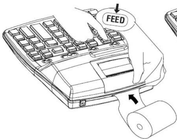 FEED