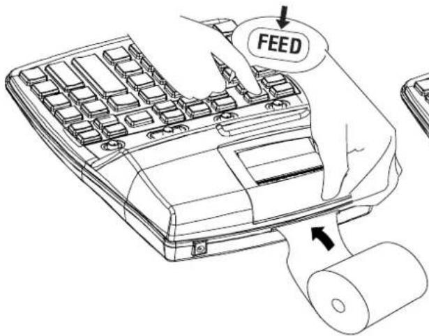 FEED