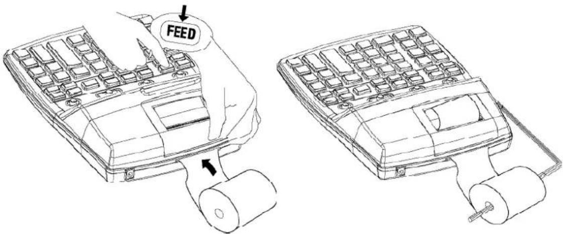 FEED