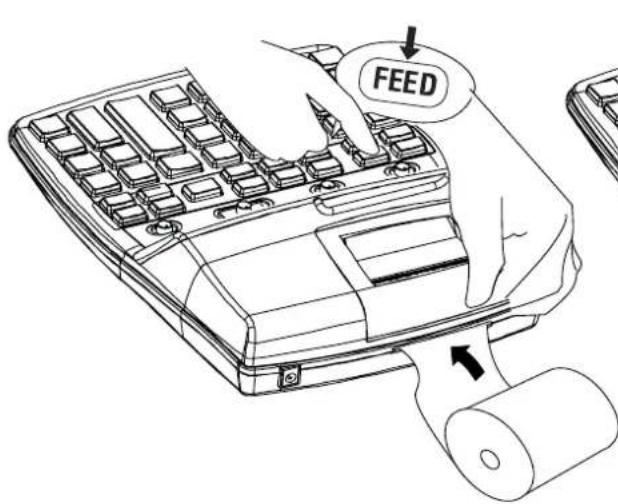 FEED