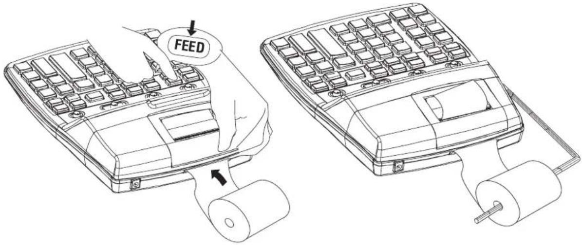 FEED