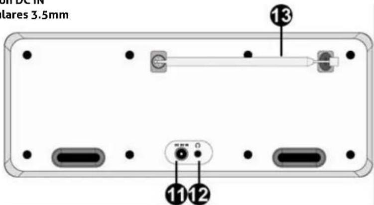Audizio Ancona - VISION GENERAL DEL PRODUCTO - 2