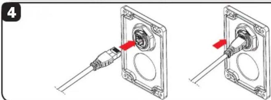 Tripp Lite N206SB01IND - Installation du coupleur de cloison de qualité industrielle (n206-bc01-ind, u325-000-ind, p569-000-ff-ind et n455-bc01-ind) - 3