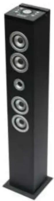 Ices Electronics IBT6 - Hartelijk dank voor de aanschaf van deze Luidsprekertoren - 1