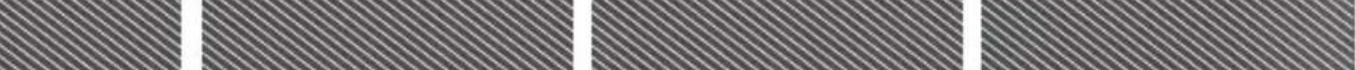 RYOBI RPC4 - Γαφανo - 3