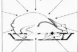 Pando PHP962 - PORQUE É QUE OS ALIMENTOS AQUECEM - 3