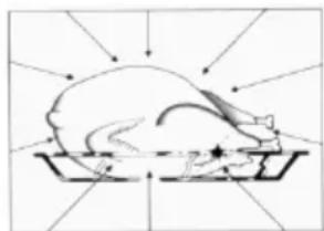 Pando PHP962 - Why food heats up - 3