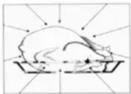 Pando PHP962 - Waarom wordt het voedsel warm? - 3