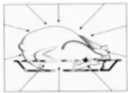 Pando PHP962 - WIE SICH DIE SPEISEN ERWÄRMEN - 3