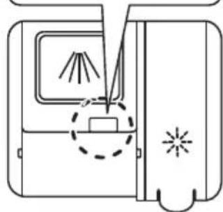 Pando PLB7145 - Filling The Detergent Dispenser - 3
