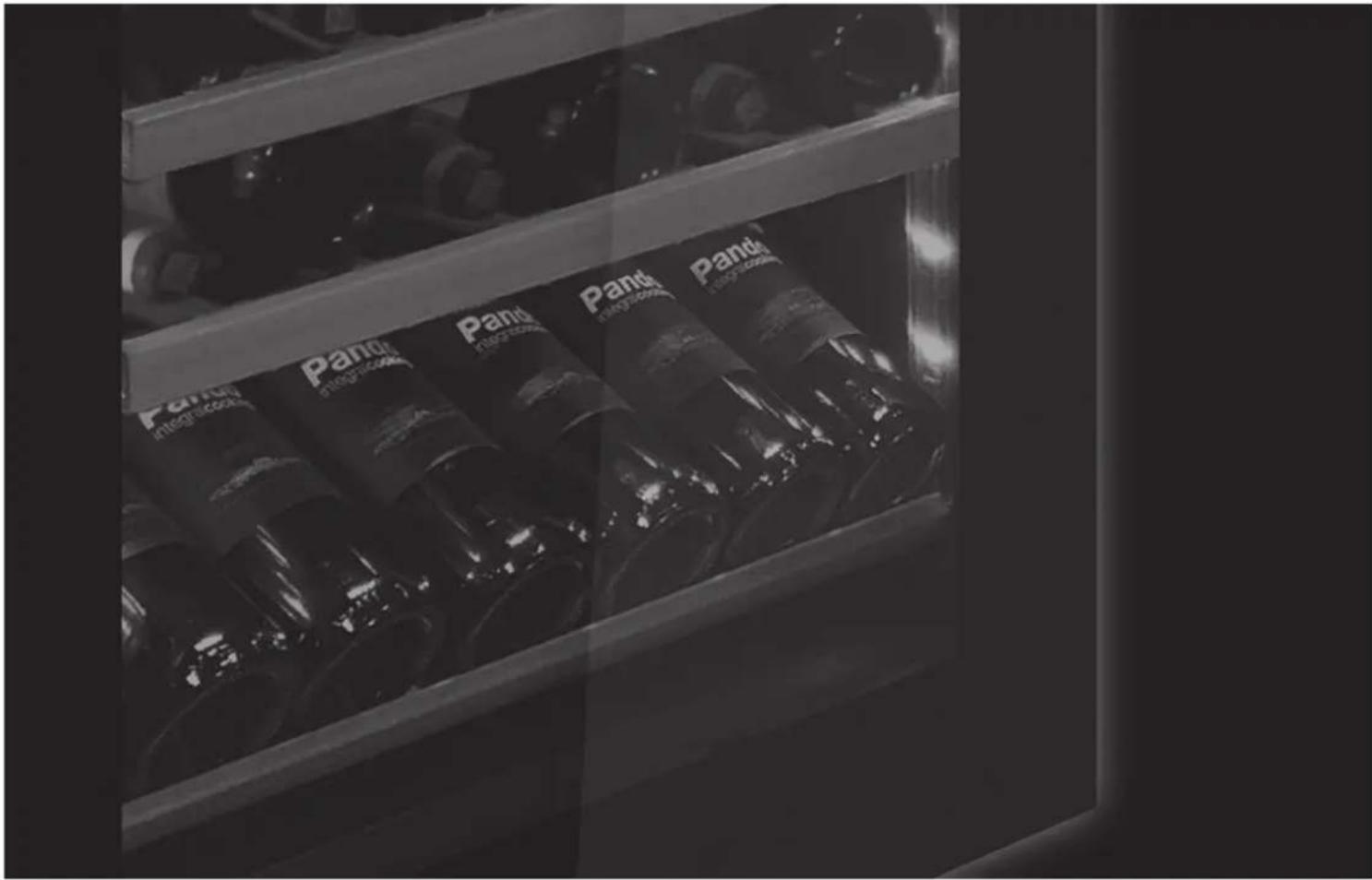 Pando PVMAV 12470 XL - Pando - 3