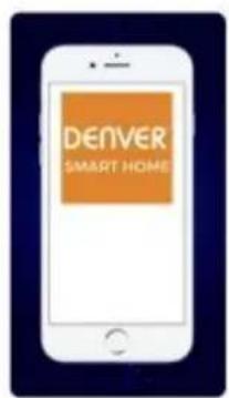 DENVER IIC215 - 4