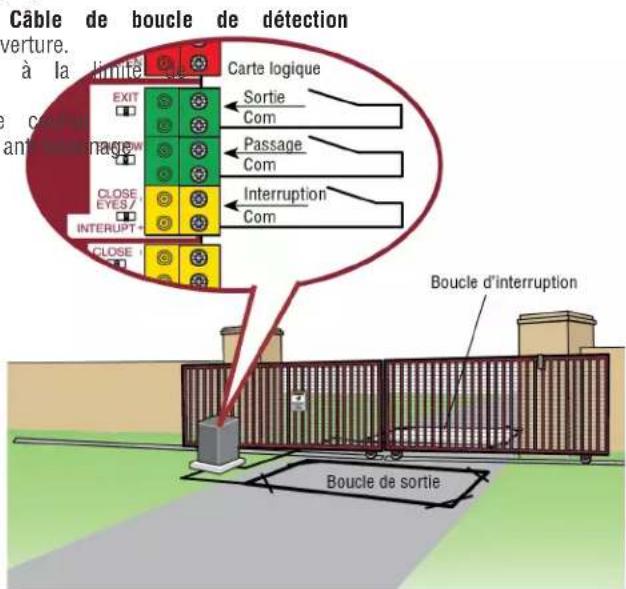 LIFT-MASTER LMWETXU - Câblage des accessoires - 2