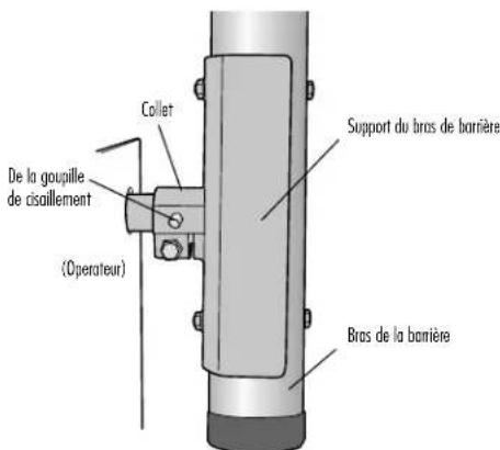 LIFT-MASTER MASTDCBB - Reemplacement des batteries - 1