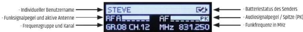 LD Systems U506 UK MC - DISPLAY - 1