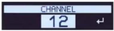 CHANNEL 12