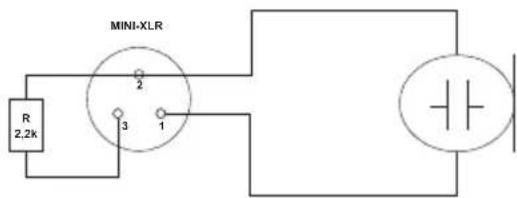 LD Systems U500 DC - ASSEGNAZIONE PIN BELTPACK MINI-XLR - 3