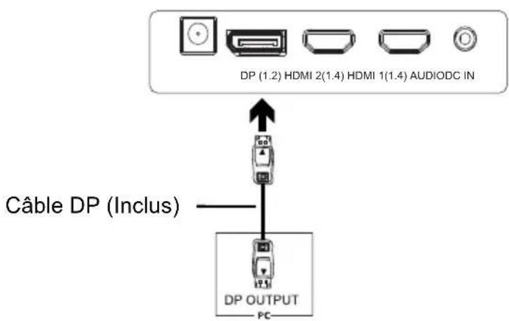SCHNEIDER SC29M1F - - Connectivité DP - 1