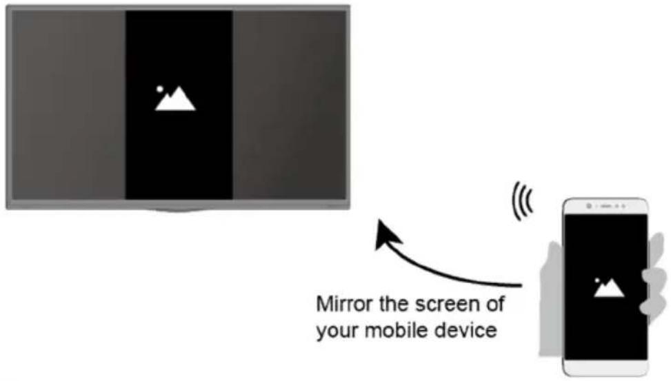 SCHNEIDER SC43S1FJORD - INPUT > Screen Sharing - 1