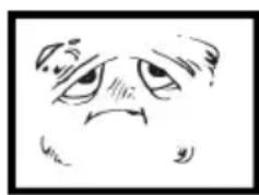 SCHNEIDER SC50S1FJORD - Scaling problem - 1